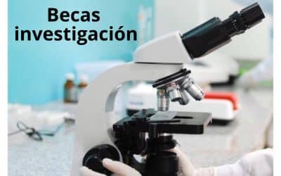 III convocatoria Becas IPSEN-SERMEF de apoyo a la investigación en neurorrehabilitación